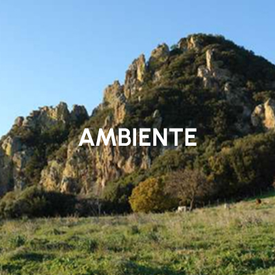 Ambiente