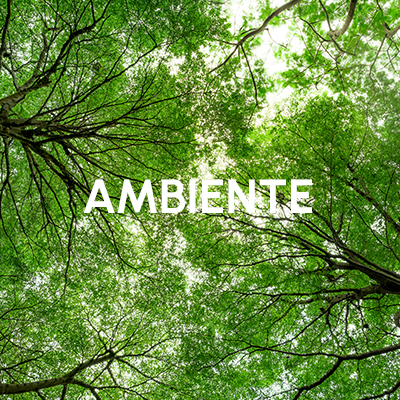 Ambiente