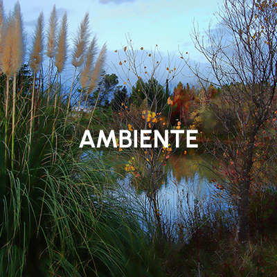 Ambiente