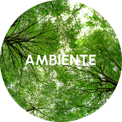 AMBIENTE