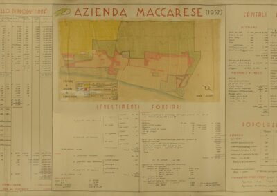 Azienda Maccarese 1952